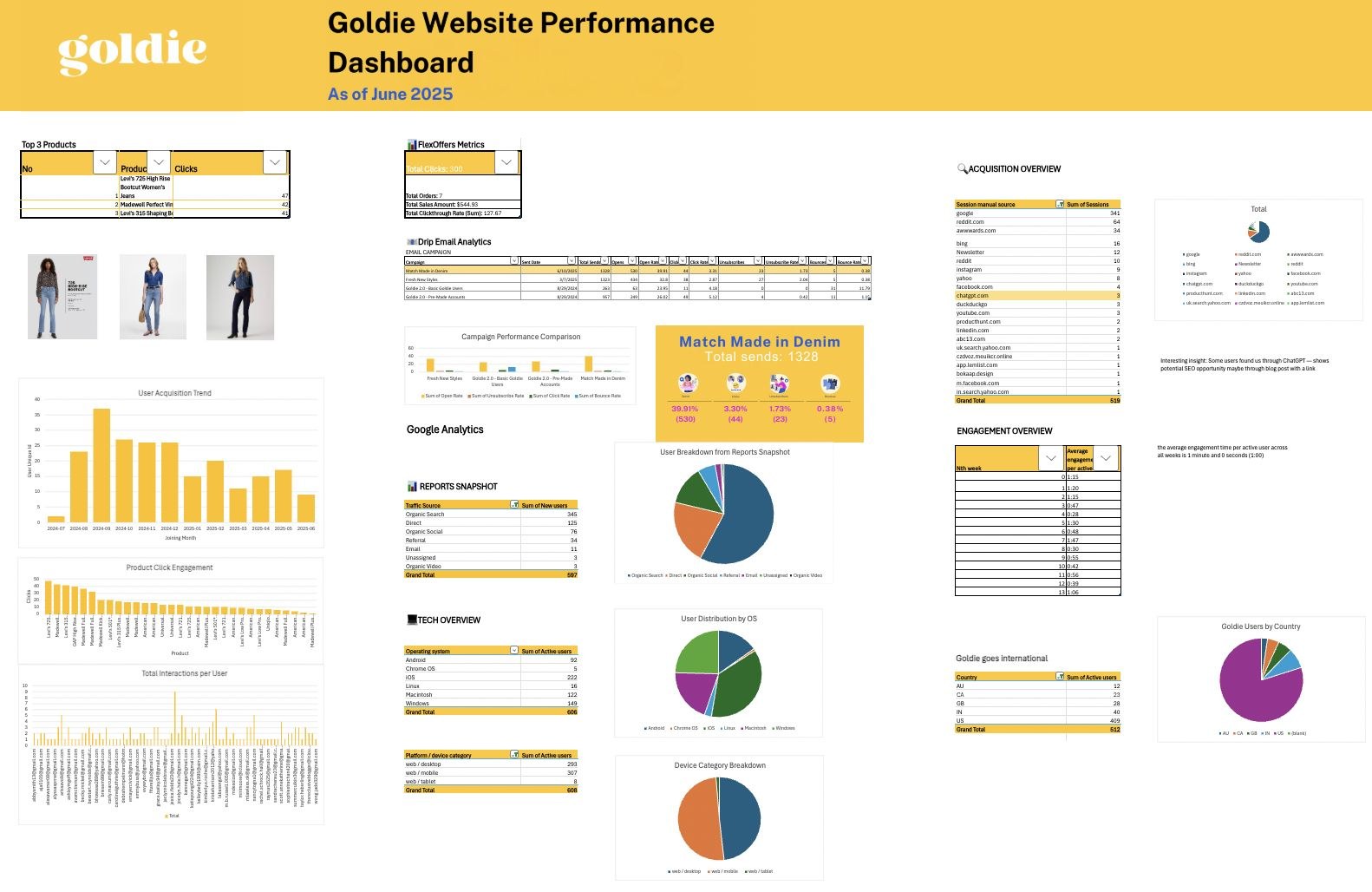 Goldie website performance dashboard built in Excel, with charts for clicks, orders, sales, CTR and email performance